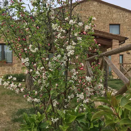 Residenza Al Poggio Degli Ulivi Holiday home