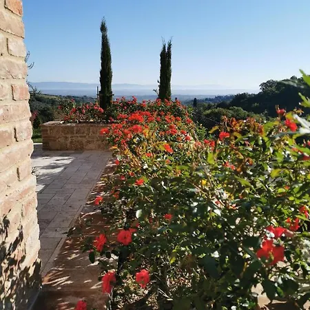 Residenza Al Poggio Degli Ulivi Nyaraló